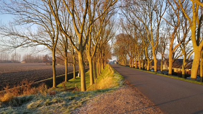 Numansdorp Schuringsedijk 2016