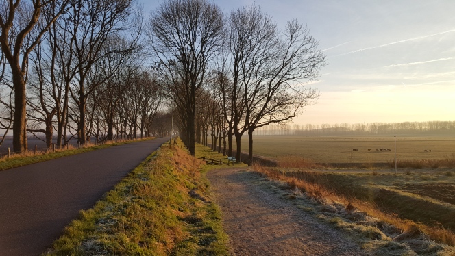 Numansdorp Schuringsedijk oost 2016